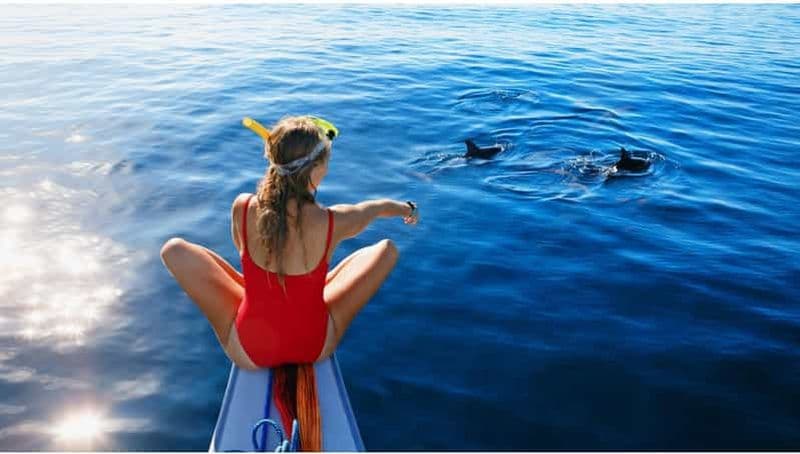 Billet Excursion « Aventure au lever du soleil avec les dauphins de la côte nord »