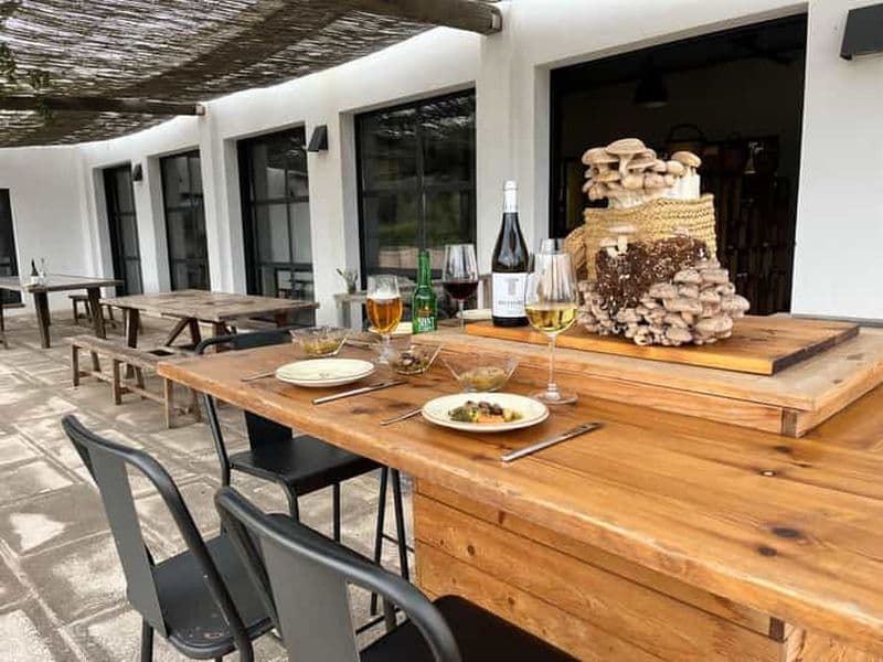 Billet EXPÉRIENCE GASTRONOMIQUE DES CHAMPIGNONS. La visite n'est pas incluse