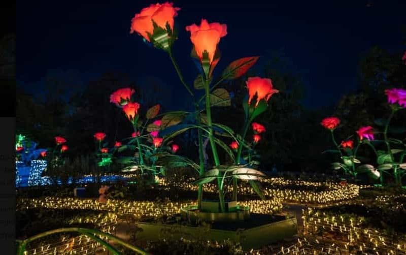 Billet Le Jardin Royal de la Lumière : visite de nuit du Palais de Wilanow