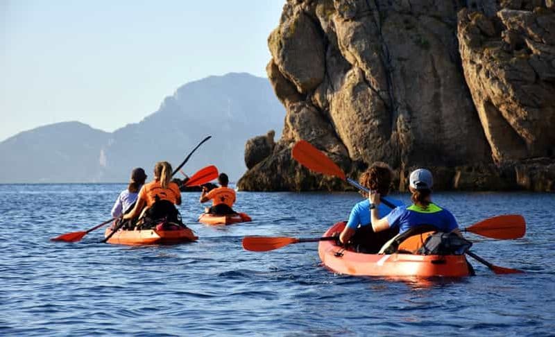 Billet Golfo Aranci : excursion en kayak avec dauphins et apéritif