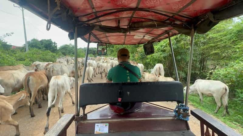 Billet Visite de la nature à Battambang, de la région et des lieux d'intérêt