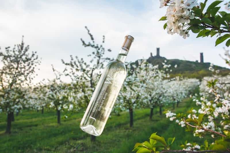 Billet Visite des vignobles tchèques et dégustation de vins en 4x4 avec déjeuner