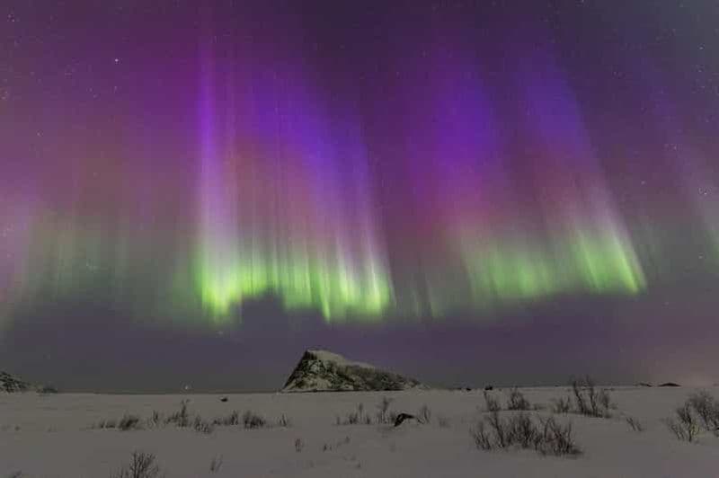 Billet Lofoten : excursion à la découverte des aurores boréales avec un photographe