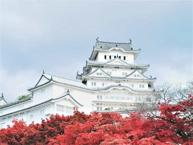 Billet Osaka : visite en bus d'une journée du château de Himeji, d'Arima Onsen et du Mont Rokko