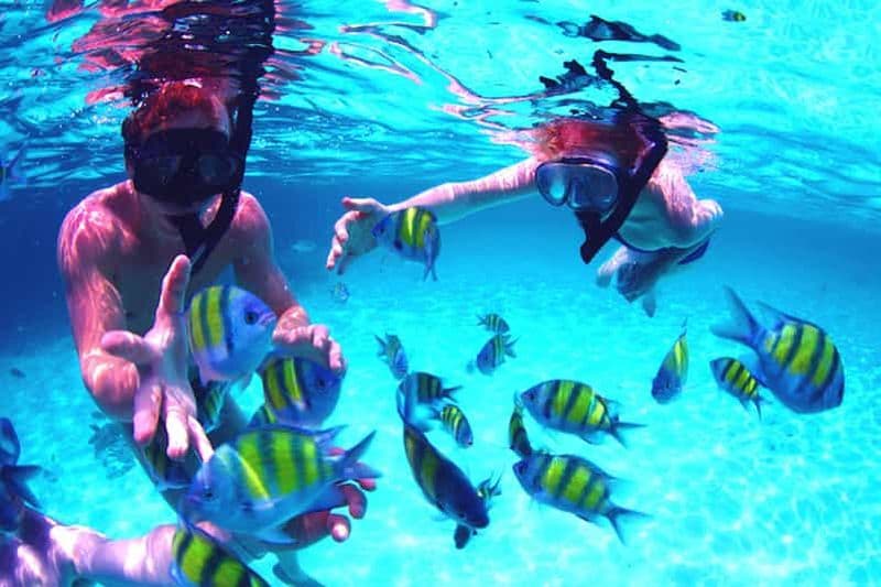 Billet Depuis les Émirats arabes unis : Musandam Khasab Excursion d'observation des dauphins avec déjeuner