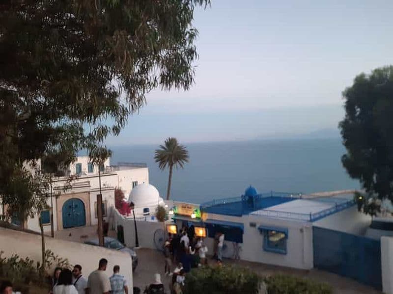 Billet Visite privée de Sidi Bou Saïd, Médina, Musée du Bardo et Carthage