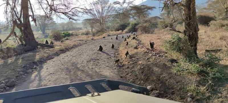 Billet Safari de 2 jours dans le Tarangire et le cratère du Ngorongoro Rejoindre le groupe