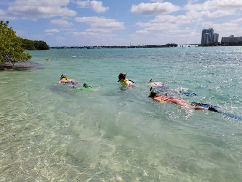 Billet Miami : Plongée en apnée sur l'île en SUP ou en kayak pour les débutants