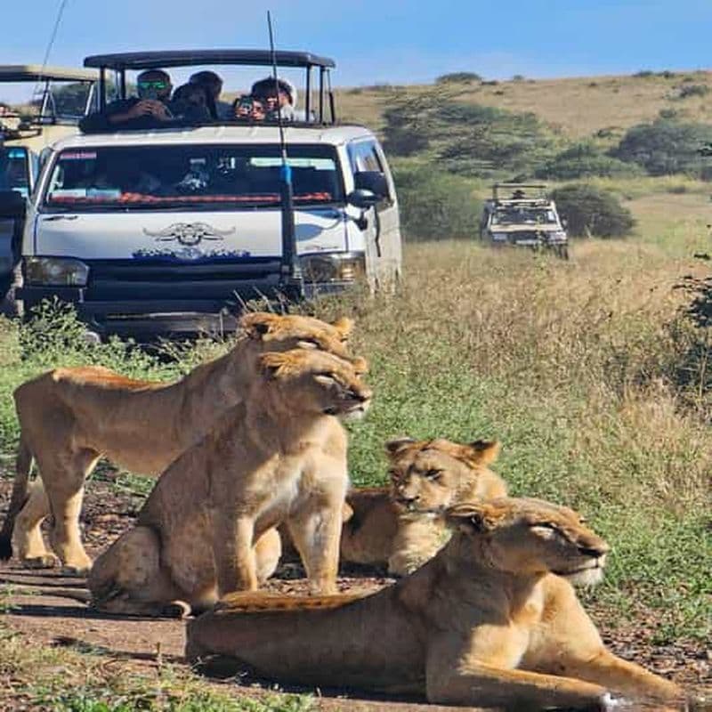Billet Parc national de Nairobi : safari guidé de 5 heures avec prise en charge gratuite