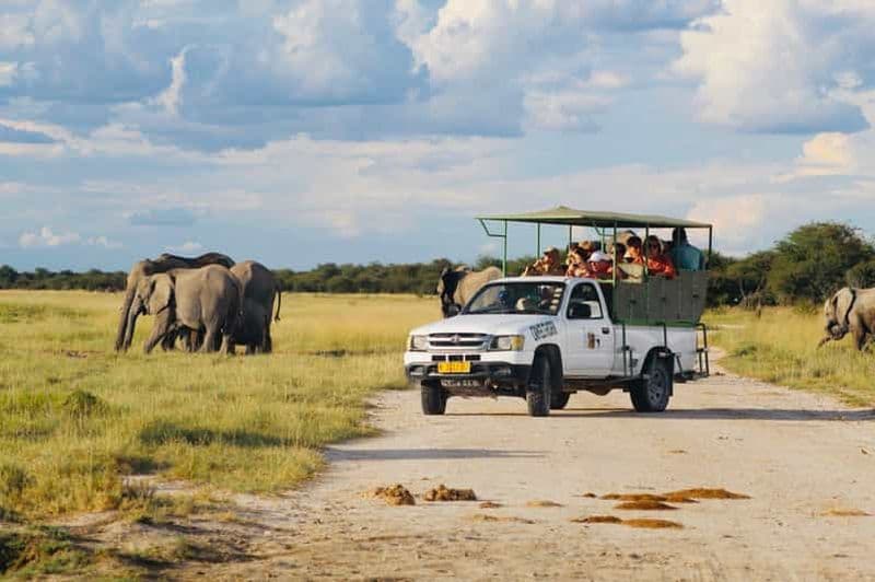 Billet Parc national d'Etosha : Excursion d'une journée ou d'une demi-journée