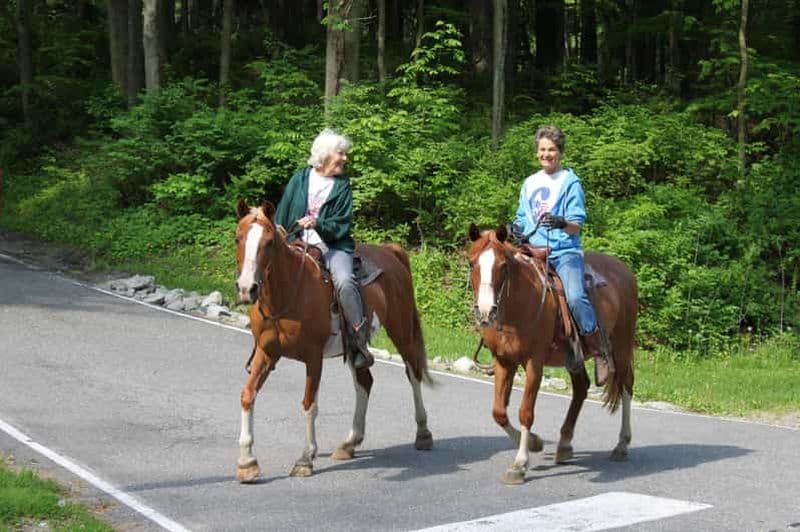 Billet Agadir : randonnée à cheval visite de la rivière des flamants roses avec dégustation de thé