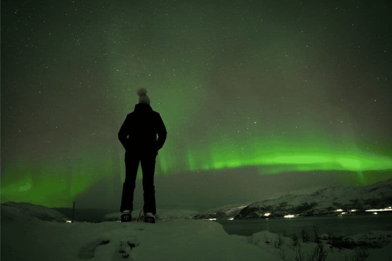 Billet Tromsø : visite en bus pour observer les aurores boréales avec collations et photos