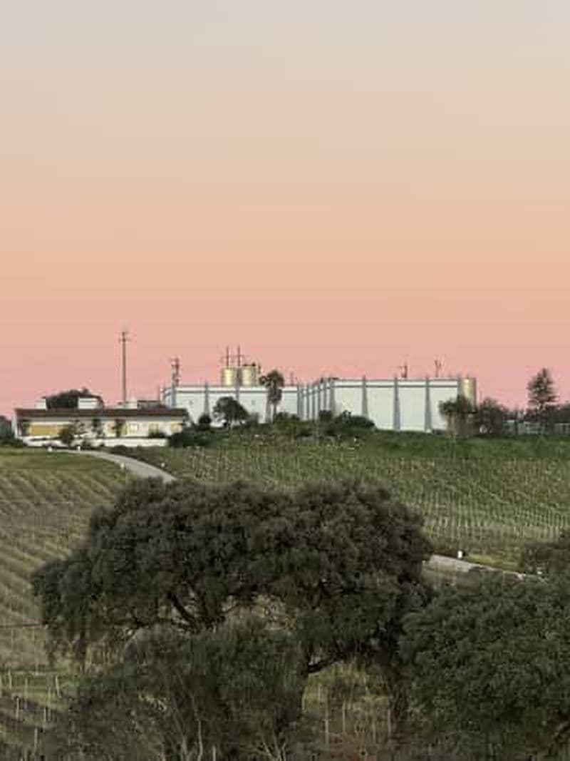 Billet Estremoz, Alentejo, Portugal : Visite des vignobles et dégustation de vins