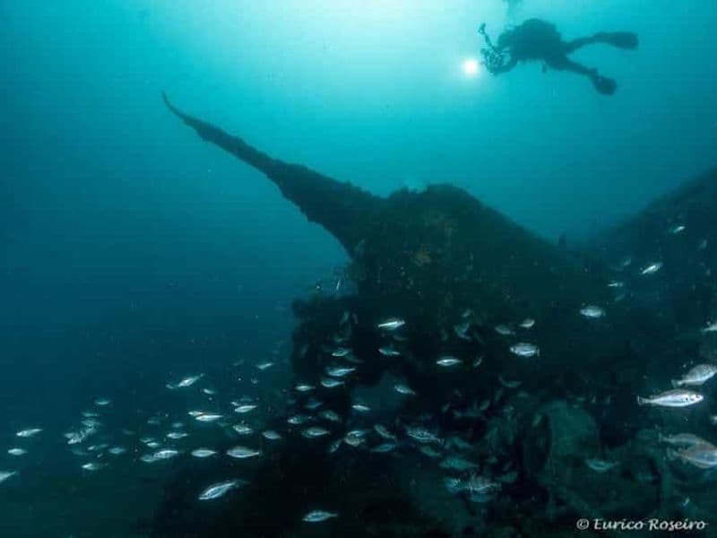 Billet Plongez dans l'U-boot 1277 - la plongée la plus emblématique du Portugal