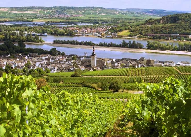 Billet Dégustation de vins le long du Rhin - Excursion œnologique au départ de Francfort