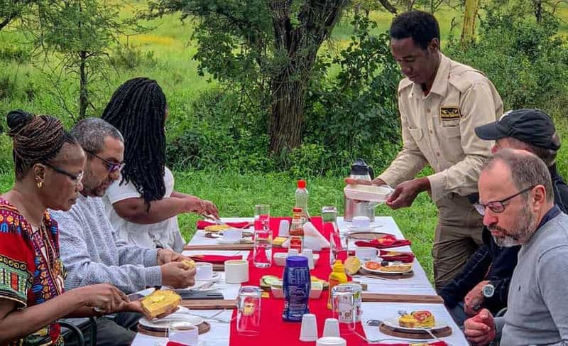 Billet Balade en ballon dans le Serengeti et petit-déjeuner de luxe dans la brousse