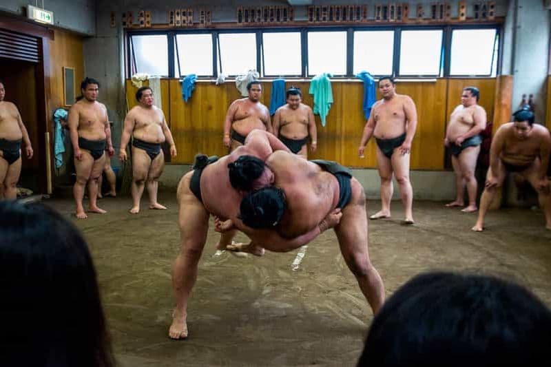 Billet Tokyo : Visite guidée de l'entraînement matinal du sumo