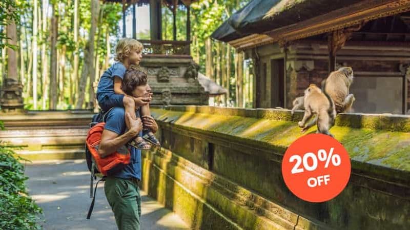 Billet Ubud : Visite tout compris avec déjeuner facultatif