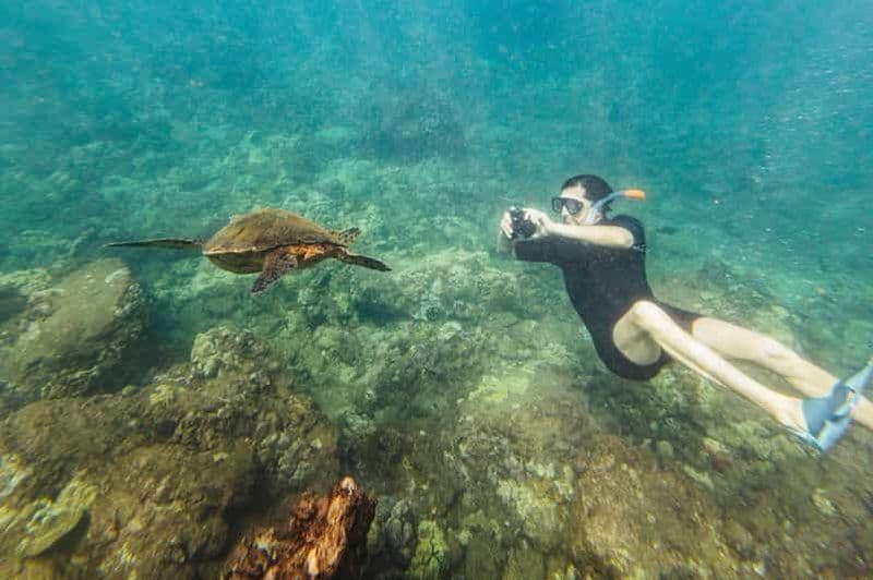 Billet Sud de Maui : Molokini & Turtle Town Snorkeling Tour avec repas