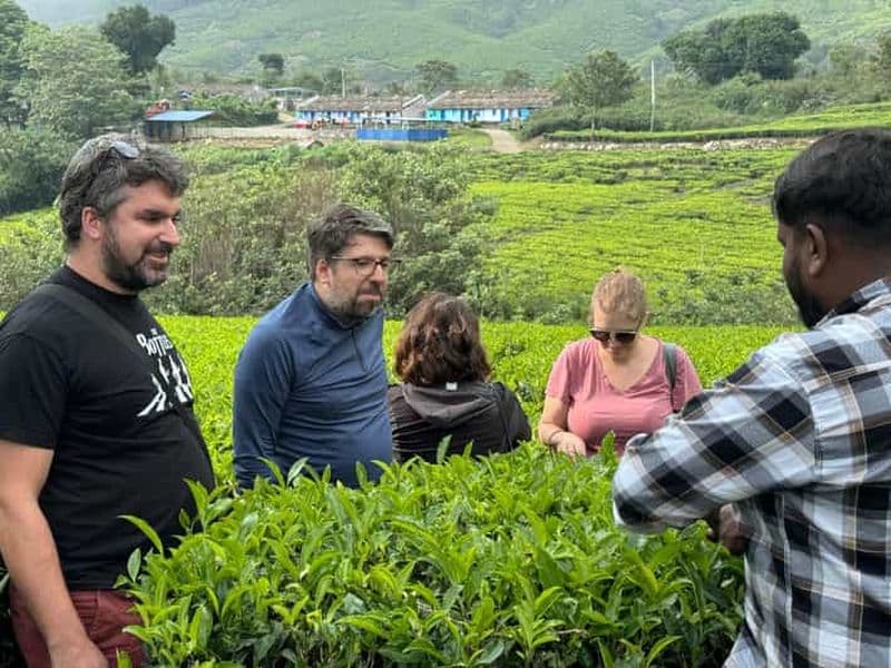 Billet Munnar : Excursion en jeep dans la plantation de thé de Kolukkumalai