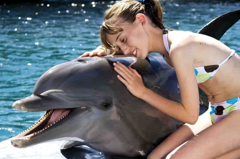 Billet Puerto Plata : Rencontre avec des dauphins à Ocean World