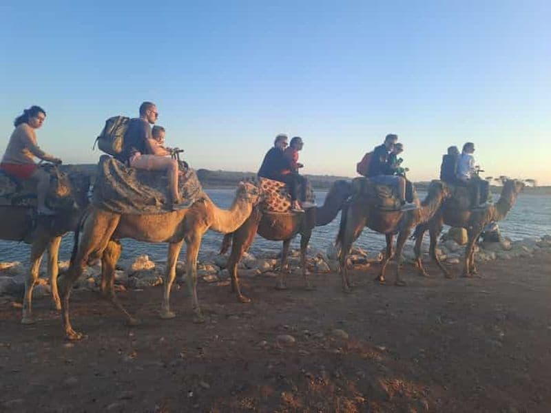 Billet Agadir : balade à dos de chameau ou à cheval, barbecue et transfert au coucher du soleil (en option)