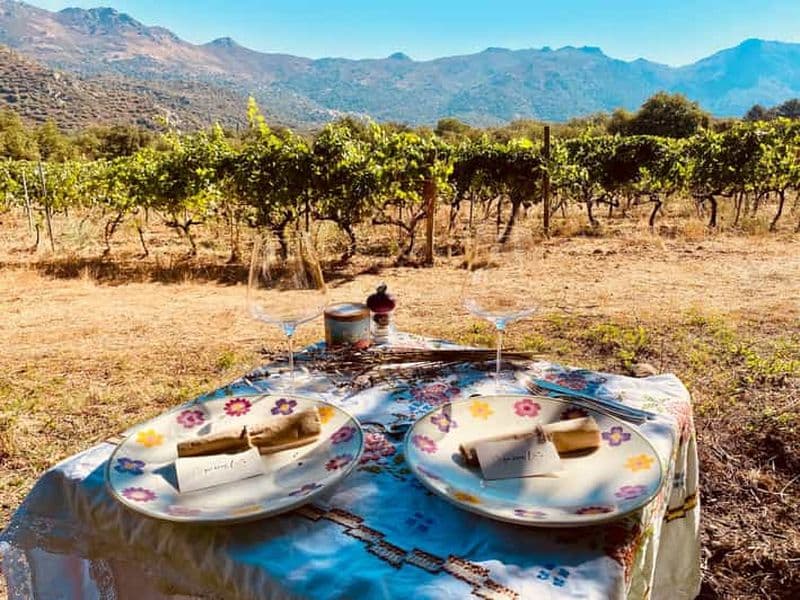 Billet Dégustations de vin autour de Calvi et de l'Île-Rousse