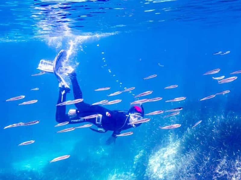 Billet Majorque : excursion de plongée avec tuba avec un moniteur de plongée depuis un bateau - Cap de Formentor