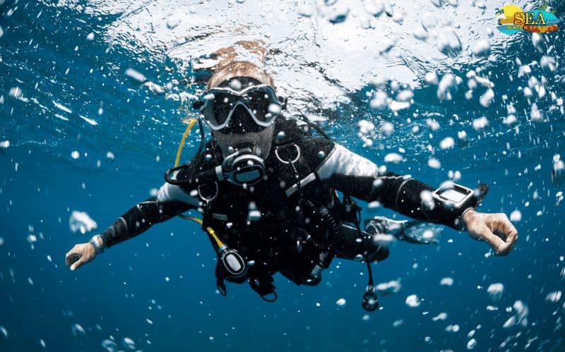 Billet Plongée sous-marine à Pondichéry