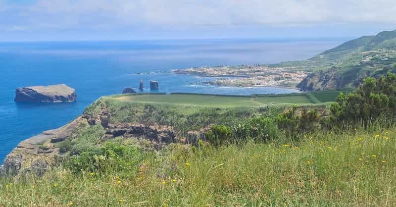 Billet Visite privée demi-journée Sete Cidades et production d'ananas