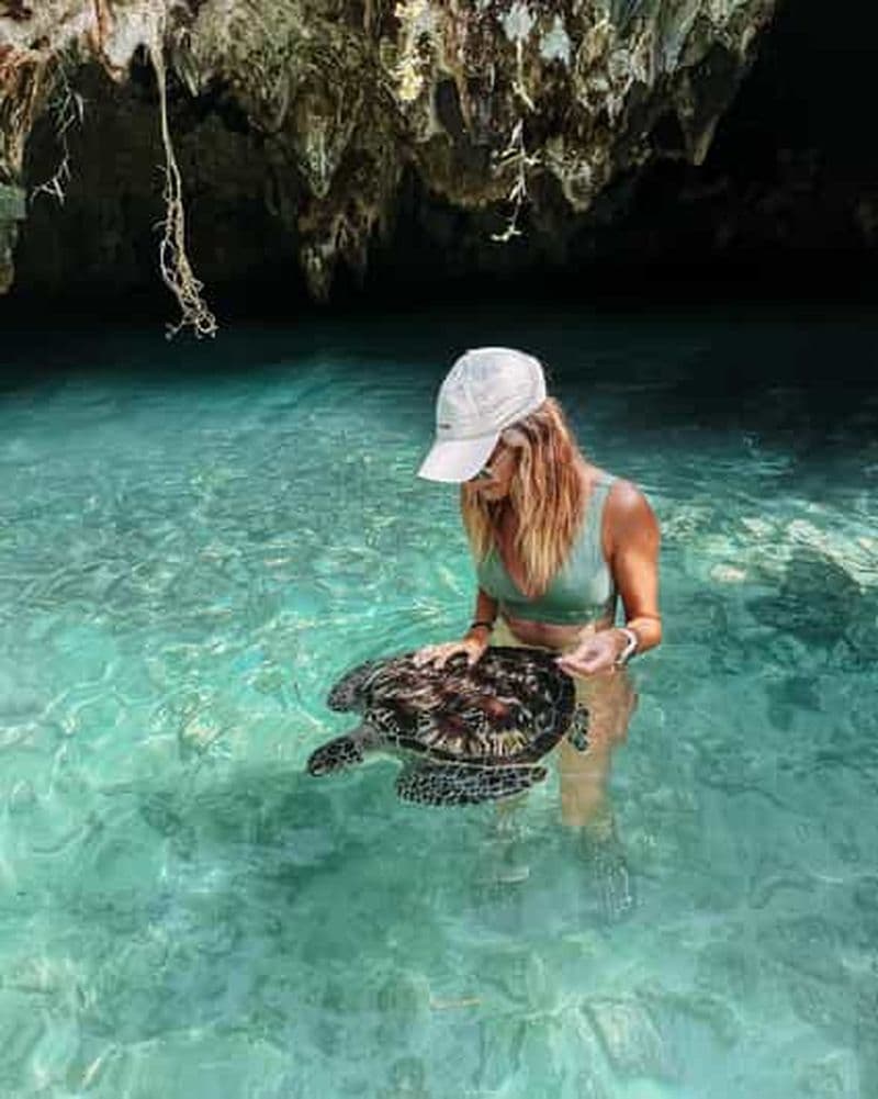 Billet Tour des dauphins + plongée en apnée sur l'île de Mnemba + tortues de Salaam