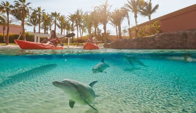 Billet Dubaï : pass journée parc aquatique Aquaventure World et kayak avec dauphins