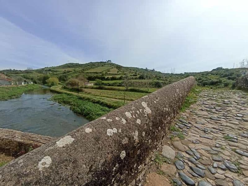 Billet Au départ de Sintra, Mafra ou Ericeira : randonnée et circuit viticole