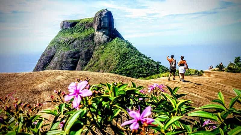 Billet Randonnée en petit groupe dans le parc national de Tijuca jusqu'à Pedra Bonita