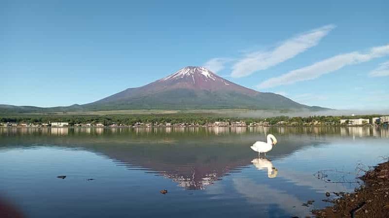 Billet Visite privée d'une jounée du mont Fuji au départ de Tokyo (personnalisable)