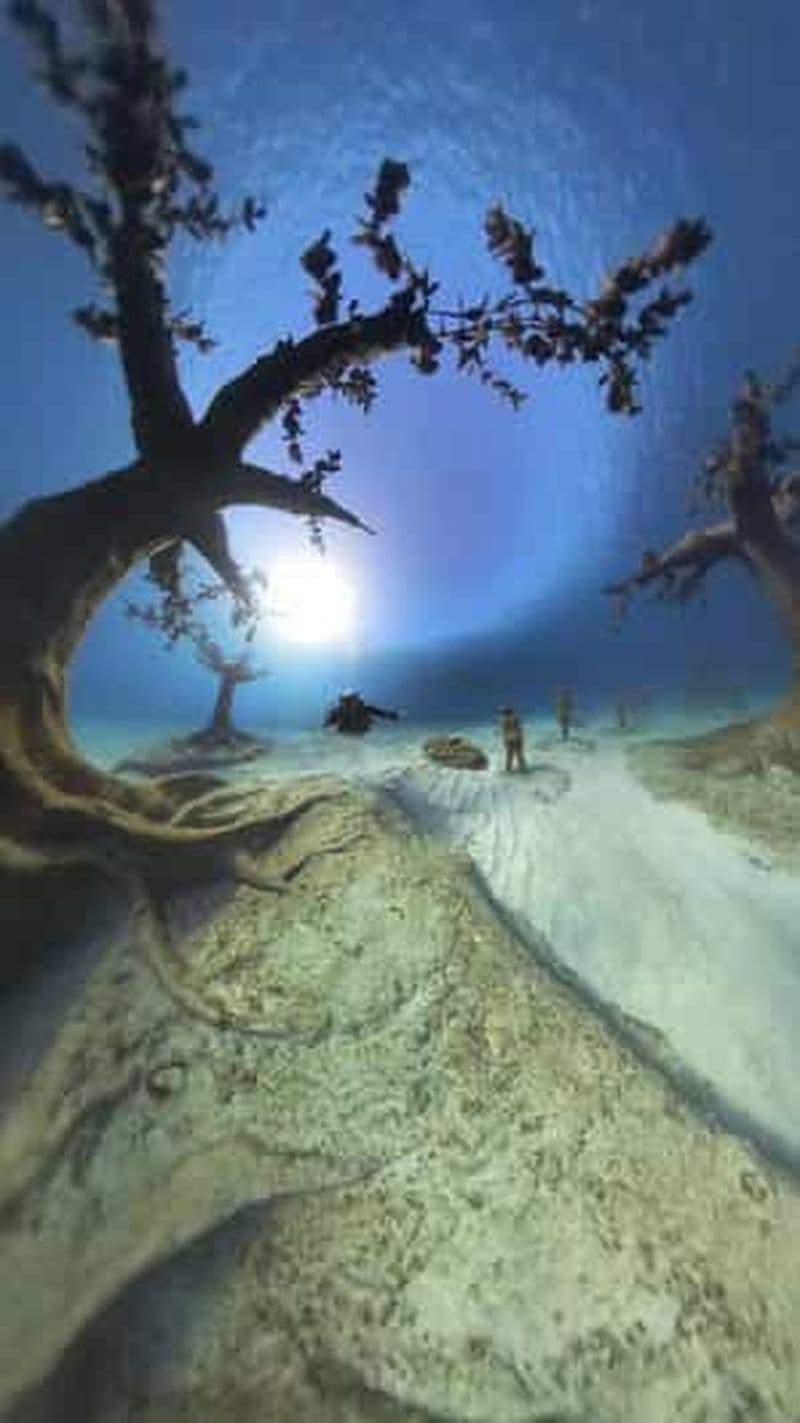 Billet Ayia Napa : Plongée au Musée Sous-Marin de Musan