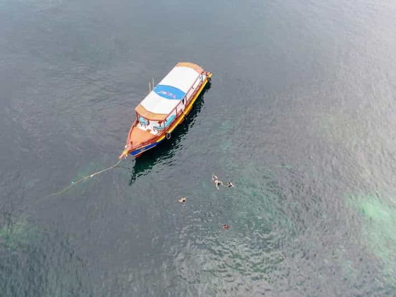 Billet Koh Tao : aventure de plongée avec tuba à l'aube avec Oxygen Tours