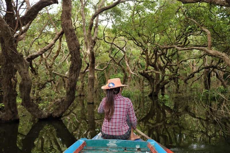 Billet Siem Reap : Lac Tonle Sap - Village de pêcheurs et forêt inondée