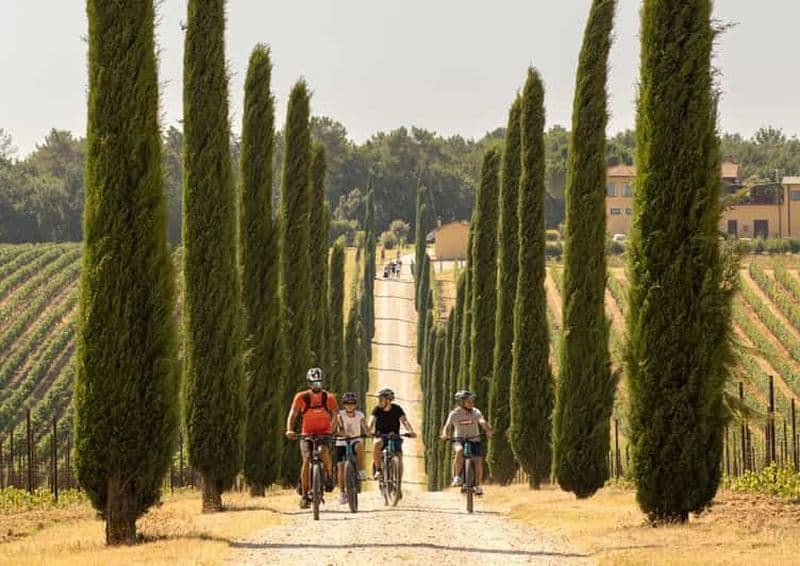 Billet Pienza : Visite guidée en E-bike dans le Val d'Orcia