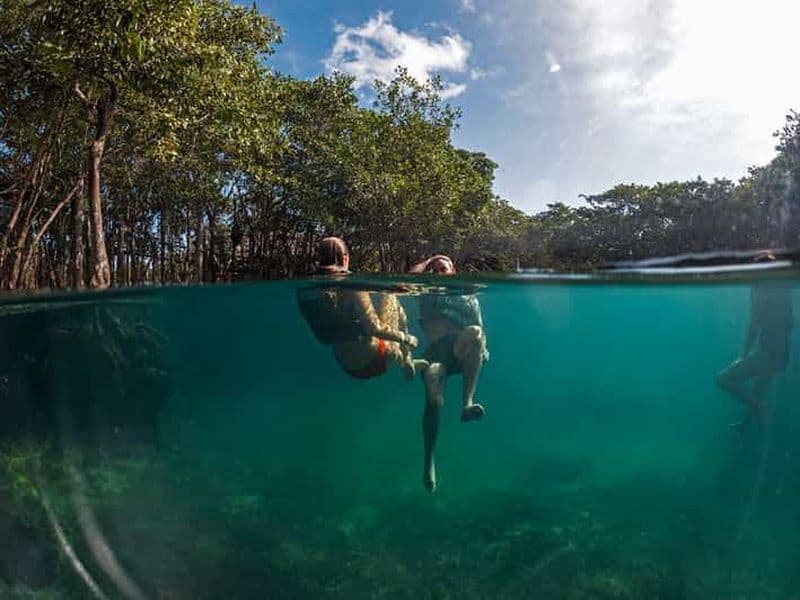 Billet Holbox : Yalahau, île de la Passion et tour en bateau de Punta Mosquito