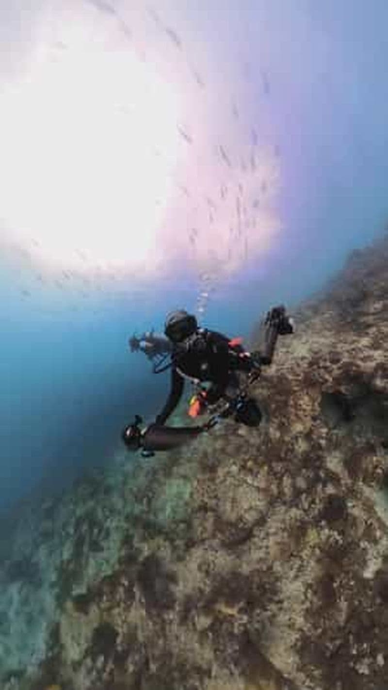 Billet Cours de photographie sous-marine