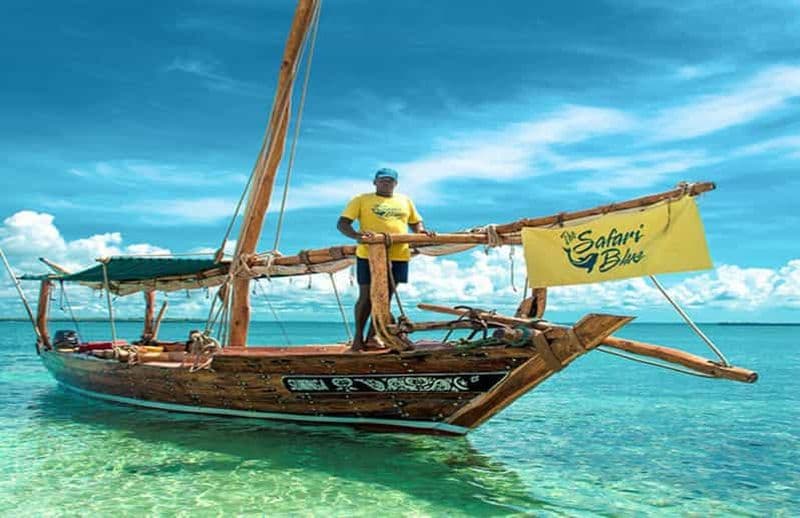 Billet Depuis Nungwi : Safari Blue Tour avec plongée et déjeuner