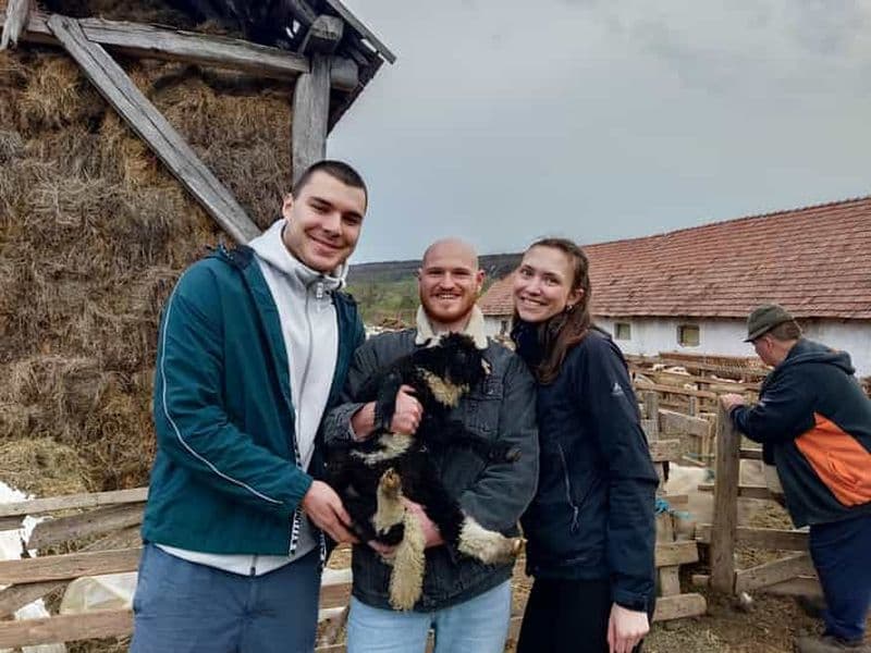 Billet Au départ de Sibiu : villages, vie à la ferme et balade en calèche
