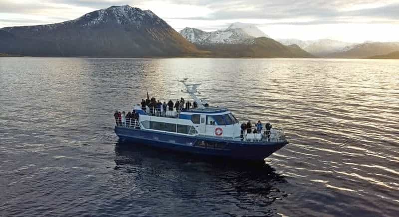 Billet Au départ de Tromsø : safari baleines et orques avec déjeuner inclus