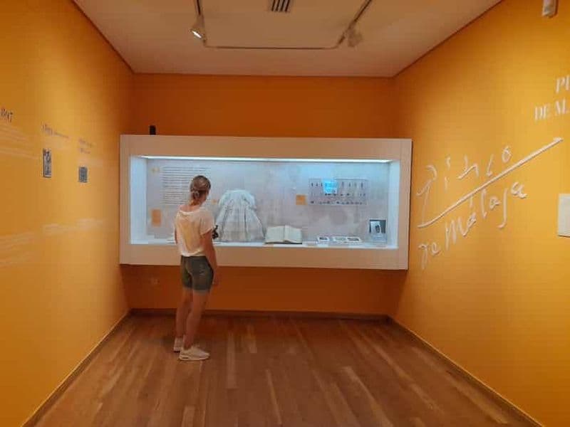 Billet Malaga : billet d'entrée au musée de la maison natale de Picasso