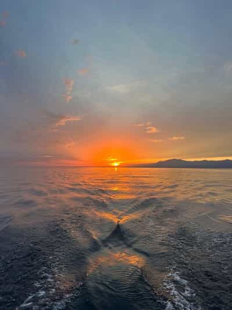 Billet Location de bateau à Benalmádena