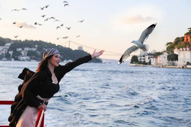 Billet Istanbul : Croisière touristique sur le Bosphore avec audioguide