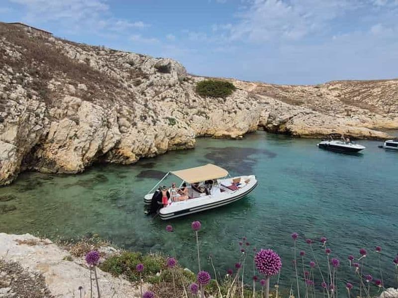 Billet Marseille : Mini croisière en bateau dans les îles du Frioul tout inclus