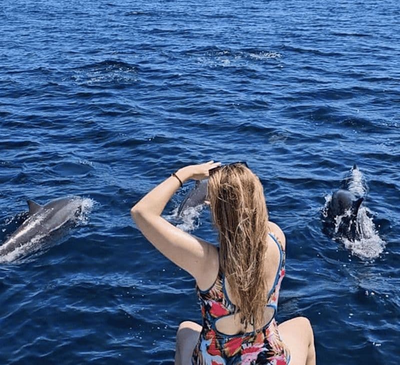 Billet Bali : snorkeling avec dauphins, cascade et temple UNESCO