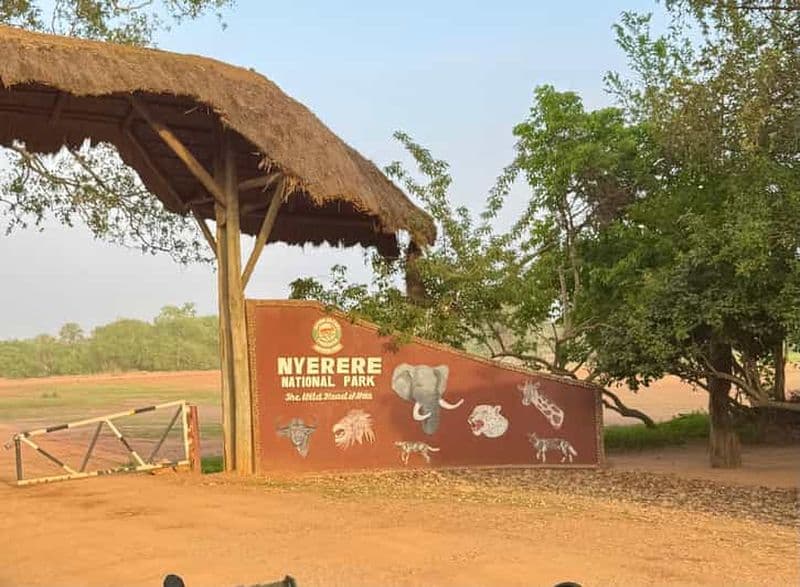 Billet 2 jours 1 nuit au parc national Nyerere depuis Zanzibar en avion